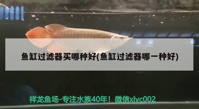 魚缸過濾器買哪種好(魚缸過濾器哪一種好)