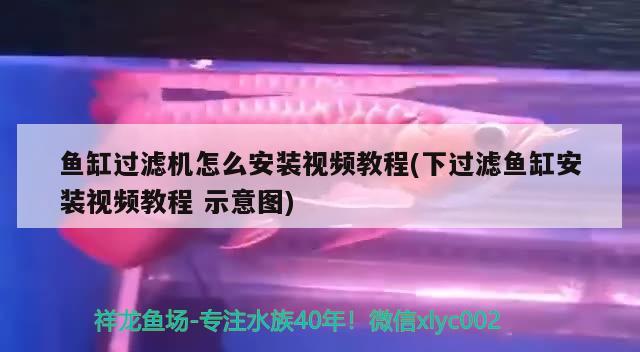 魚缸過濾機怎么安裝視頻教程(下過濾魚缸安裝視頻教程示意圖)