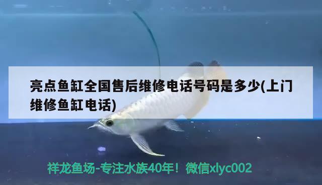 亮點魚缸全國售后維修電話號碼是多少(上門維修魚缸電話)