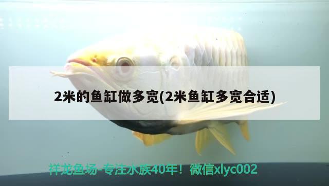 2米的魚缸做多寬(2米魚缸多寬合適)