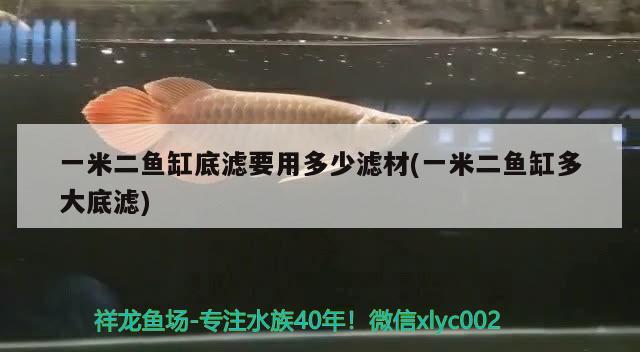 一米二魚缸底濾要用多少濾材(一米二魚缸多大底濾)