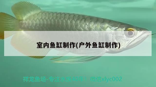 室內魚缸制作(戶外魚缸制作)