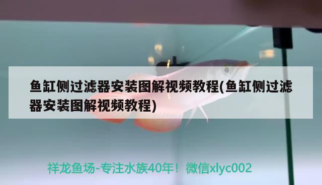 魚(yú)缸側(cè)過(guò)濾器安裝圖解視頻教程(魚(yú)缸側(cè)過(guò)濾器安裝圖解視頻教程)