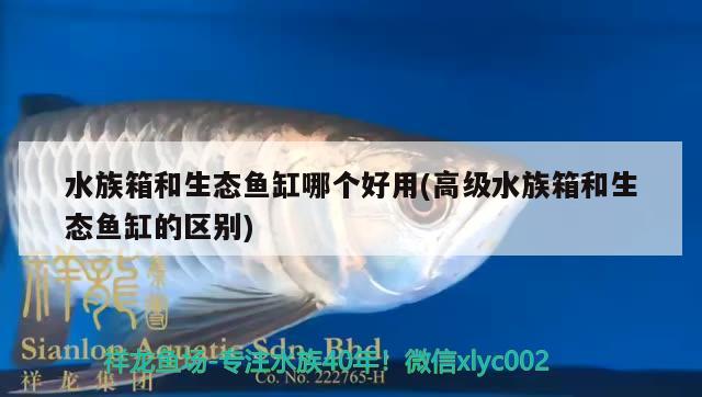 水族箱和生態(tài)魚缸哪個好用(高級水族箱和生態(tài)魚缸的區(qū)別) 魚缸/水族箱