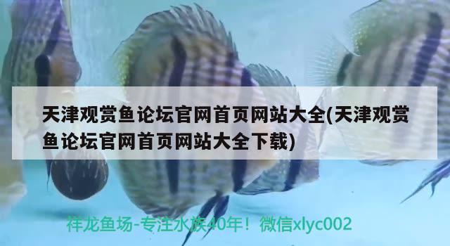 天津觀賞魚論壇官網(wǎng)首頁網(wǎng)站大全(天津觀賞魚論壇官網(wǎng)首頁網(wǎng)站大全下載)