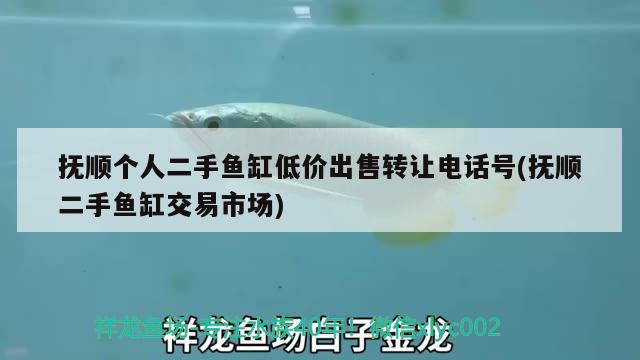 撫順個人二手魚缸低價出售轉(zhuǎn)讓電話號(撫順二手魚缸交易市場)