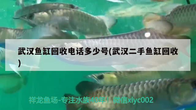 武漢魚缸回收電話多少號(武漢二手魚缸回收)