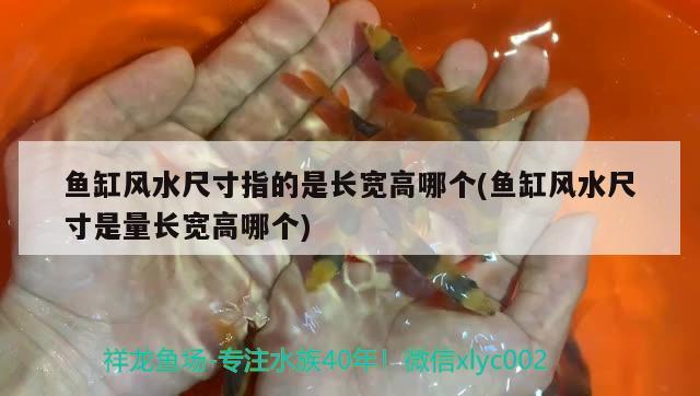 魚缸風(fēng)水尺寸指的是長(zhǎng)寬高哪個(gè)(魚缸風(fēng)水尺寸是量長(zhǎng)寬高哪個(gè))