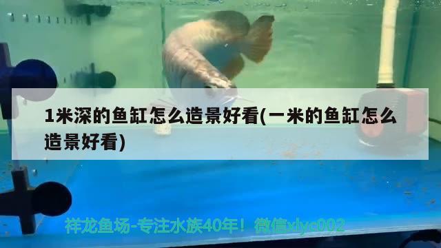 1米深的魚缸怎么造景好看(一米的魚缸怎么造景好看)