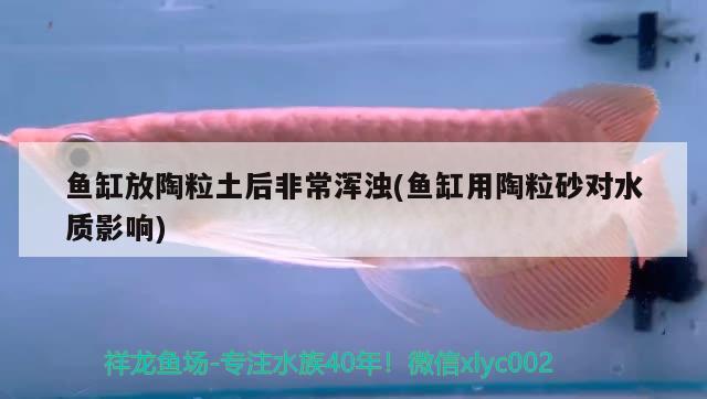 魚缸放陶粒土后非常渾濁(魚缸用陶粒砂對水質(zhì)影響) 照明器材