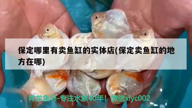 保定哪里有賣魚缸的實(shí)體店(保定賣魚缸的地方在哪) 稀有紅龍品種