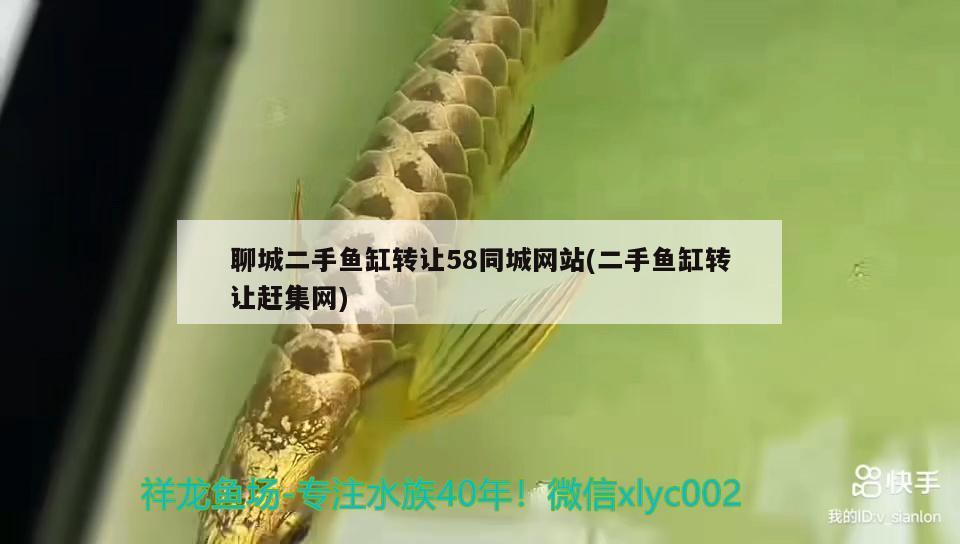 聊城二手魚(yú)缸轉(zhuǎn)讓58同城網(wǎng)站(二手魚(yú)缸轉(zhuǎn)讓趕集網(wǎng)) 硝化細(xì)菌