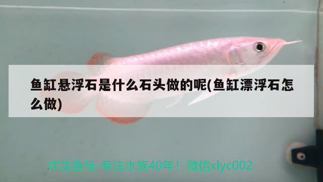 魚缸懸浮石是什么石頭做的呢(魚缸漂浮石怎么做) 紅尾平克魚