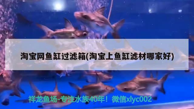 淘寶網(wǎng)魚缸過濾箱(淘寶上魚缸濾材哪家好)