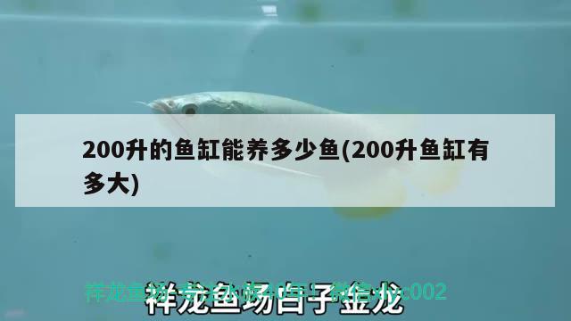 200升的魚缸能養(yǎng)多少魚(200升魚缸有多大)