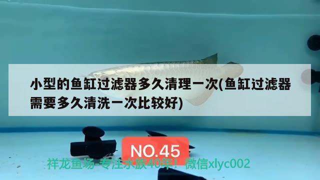 小型的魚(yú)缸過(guò)濾器多久清理一次(魚(yú)缸過(guò)濾器需要多久清洗一次比較好)