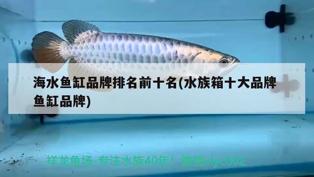 海水魚缸品牌排名前十名(水族箱十大品牌魚缸品牌)