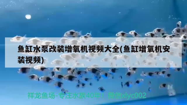 魚缸水泵改裝增氧機(jī)視頻大全(魚缸增氧機(jī)安裝視頻) 魚缸水泵