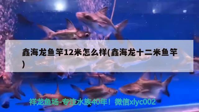 鑫海龍魚竿12米怎么樣(鑫海龍十二米魚竿) 垂釣樂園