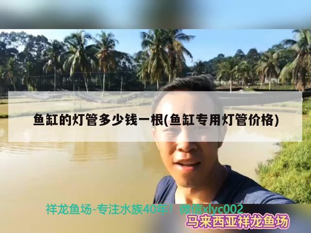 魚缸的燈管多少錢一根(魚缸專用燈管價格)