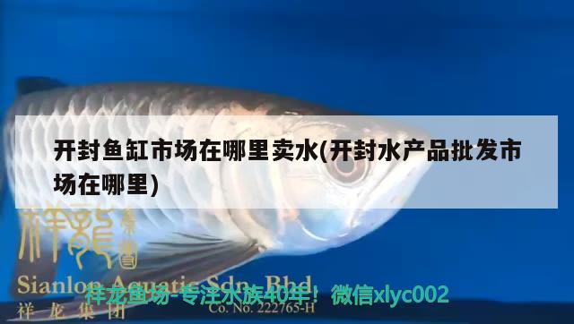 開(kāi)封魚(yú)缸市場(chǎng)在哪里賣水(開(kāi)封水產(chǎn)品批發(fā)市場(chǎng)在哪里) 紅魔王銀版魚(yú)