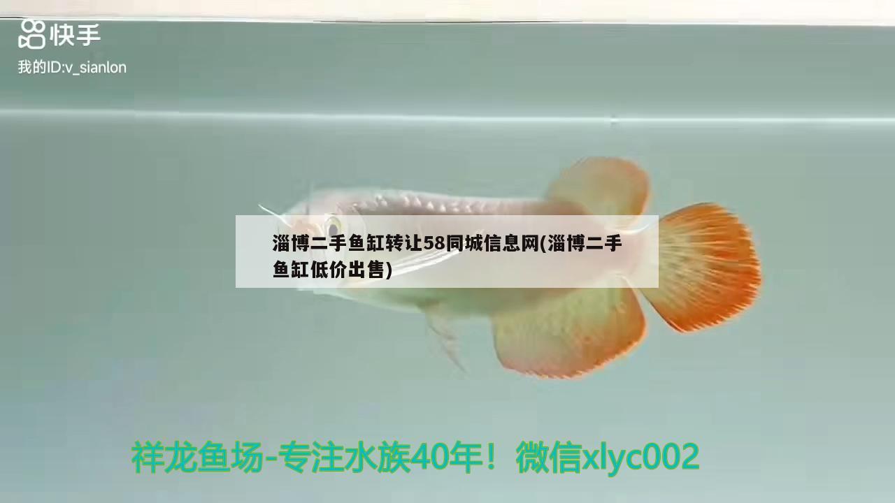 淄博二手魚缸轉讓58同城信息網(淄博二手魚缸低價出售)