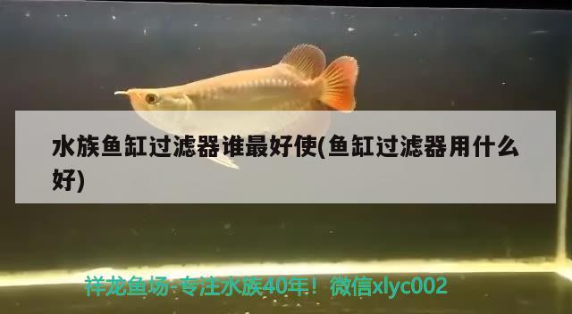 水族魚缸過濾器誰最好使(魚缸過濾器用什么好) 細線銀版魚