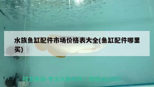 水族魚缸配件市場價格表大全(魚缸配件哪里買)