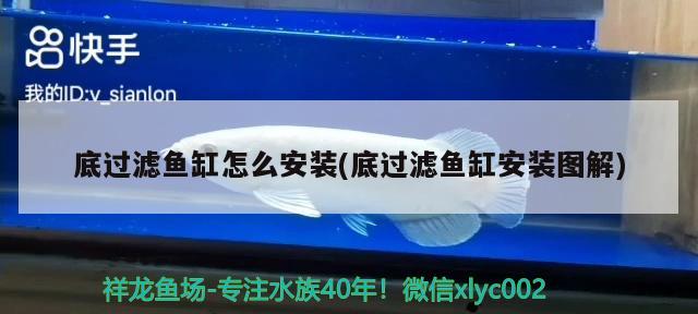 底過濾魚缸怎么安裝(底過濾魚缸安裝圖解) 元寶鳳凰魚