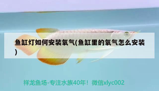 魚缸燈如何安裝氧氣(魚缸里的氧氣怎么安裝)