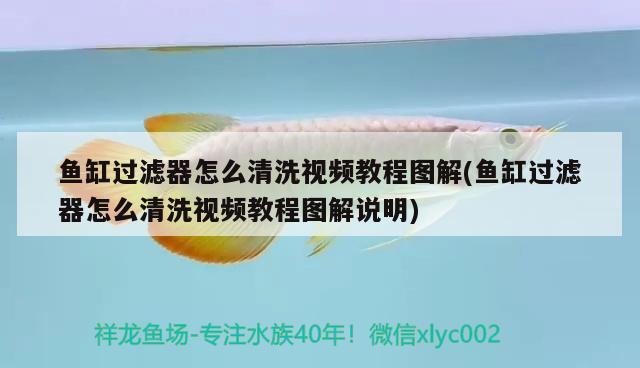 魚缸過濾器怎么清洗視頻教程圖解(魚缸過濾器怎么清洗視頻教程圖解說明) 南美異型魚