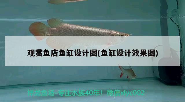 觀賞魚店魚缸設(shè)計圖(魚缸設(shè)計效果圖) 水溫計