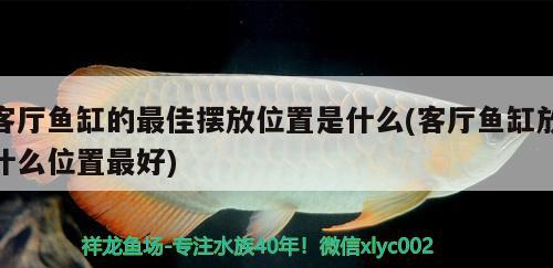 客廳魚缸的最佳擺放位置是什么(客廳魚缸放什么位置最好)