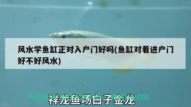 風(fēng)水學(xué)魚缸正對(duì)入戶門好嗎(魚缸對(duì)著進(jìn)戶門好不好風(fēng)水) 魚缸風(fēng)水