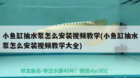 小魚缸抽水泵怎么安裝視頻教學(xué)(小魚缸抽水泵怎么安裝視頻教學(xué)大全)