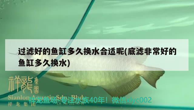 過濾好的魚缸多久換水合適呢(底濾非常好的魚缸多久換水) 馬拉莫寶石魚