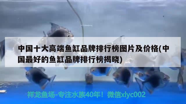 中國十大高端魚缸品牌排行榜圖片及價格(中國最好的魚缸品牌排行榜揭曉) 魚缸凈水劑