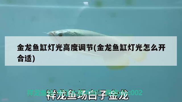 金龍魚缸燈光高度調(diào)節(jié)(金龍魚缸燈光怎么開合適) 委內(nèi)瑞拉奧里諾三間魚