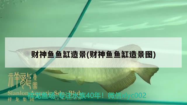 財神魚魚缸造景(財神魚魚缸造景圖) 祥龍龍魚專用水族燈