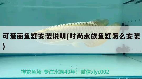 可愛麗魚缸安裝說明(時(shí)尚水族魚缸怎么安裝)