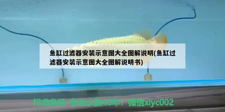 魚缸過濾器安裝示意圖大全圖解說明(魚缸過濾器安裝示意圖大全圖解說明書) 紅魔王銀版魚