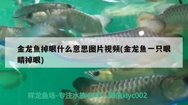 魚(yú)缸一直開(kāi)氧氣泵好不好(魚(yú)缸一直要開(kāi)氧氣泵嗎) 水溫計(jì)