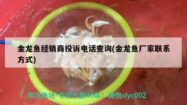 金龍魚經(jīng)銷商投訴電話查詢(金龍魚廠家聯(lián)系方式) PH調(diào)節(jié)劑