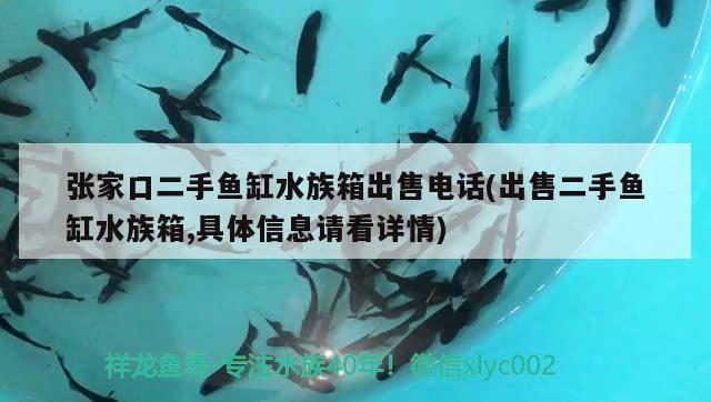 張家口二手魚缸水族箱出售電話(出售二手魚缸水族箱,具體信息請看詳情) 魚缸/水族箱