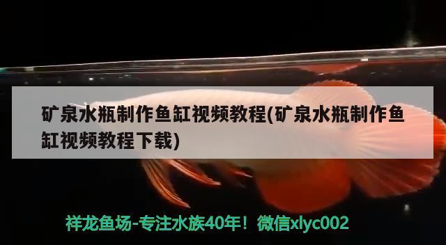 礦泉水瓶制作魚缸視頻教程(礦泉水瓶制作魚缸視頻教程下載)