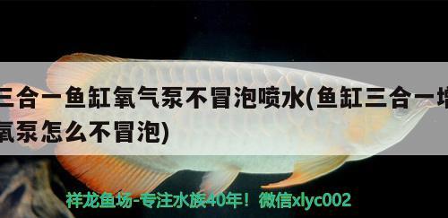 三合一魚缸氧氣泵不冒泡噴水(魚缸三合一增氧泵怎么不冒泡) 紅老虎魚