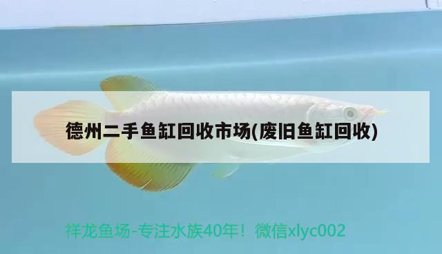 德州二手魚缸回收市場(廢舊魚缸回收) 熊貓異形魚L46