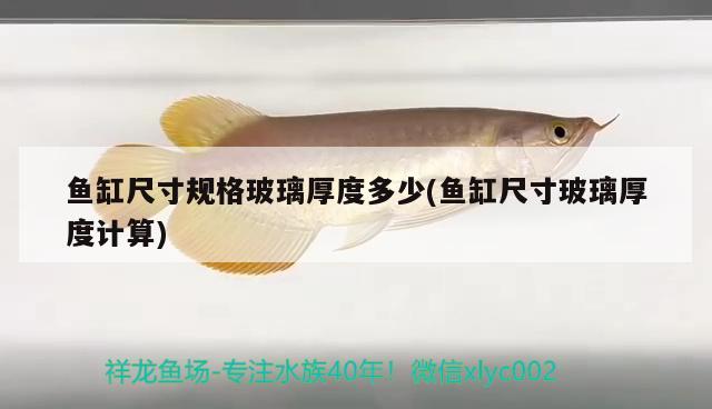 魚缸尺寸規(guī)格玻璃厚度多少(魚缸尺寸玻璃厚度計(jì)算)