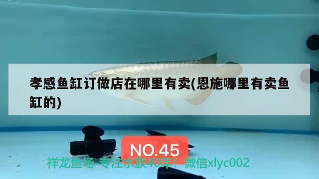 孝感魚缸訂做店在哪里有賣(恩施哪里有賣魚缸的) 狗仔招財貓魚