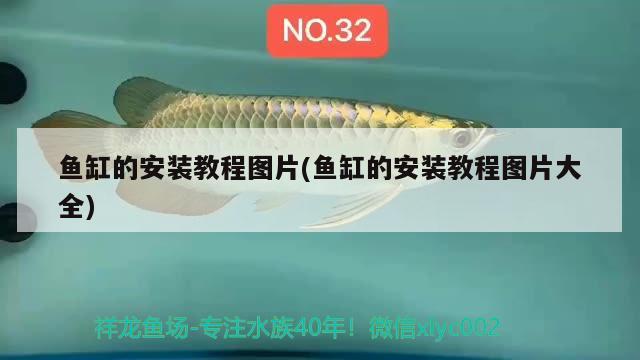 魚缸的安裝教程圖片(魚缸的安裝教程圖片大全) 紅龍福龍魚